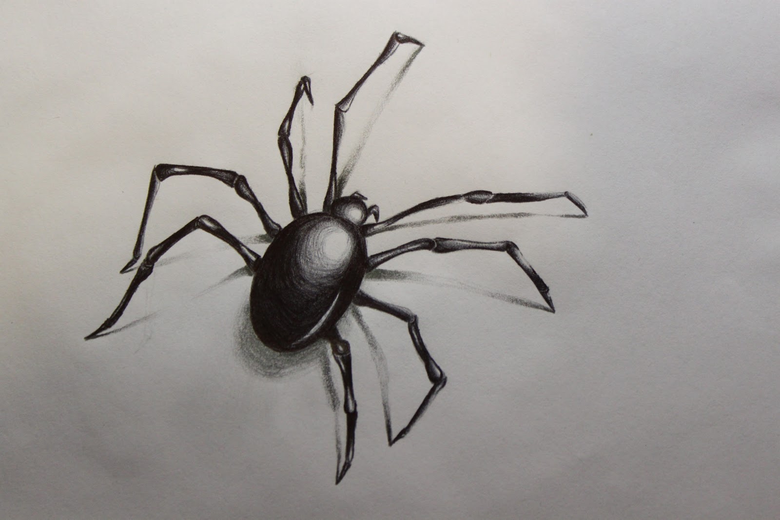 Dibujo de araña a lápiz en 3D paso a paso | Dibujos a lapiz