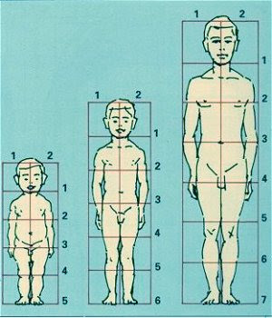 Cánones de proporciones en dibujos a lápiz