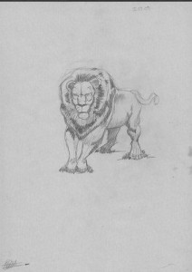 Dibujos a lápiz de leones (8)