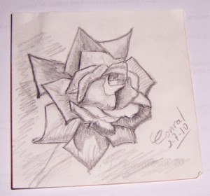 Dibujos a lápiz de flores (2)
