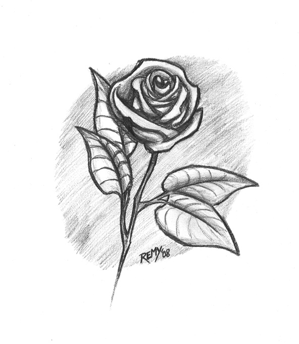 11 Hermosos dibujos a lápiz de rosas | Dibujos a lapiz