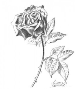 11 Hermosos dibujos a lápiz de rosas (10)