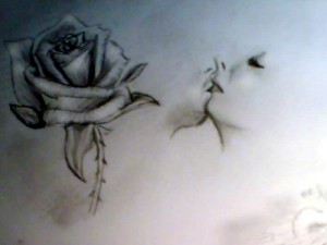 11 Hermosos dibujos a lápiz de rosas (2)
