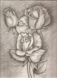 11 Hermosos dibujos a lápiz de rosas (9)