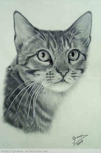 9 Bonitos dibujos a lápiz gatos (1)
