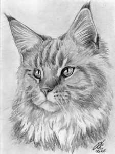 9 Bonitos dibujos a lápiz gatos (2)