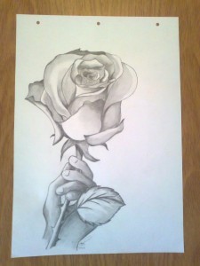 11 Nuevos dibujos a lápiz de rosas (2)