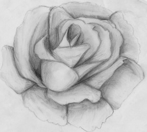 10 dibujos a lápiz de rosas para tatuajes (9)