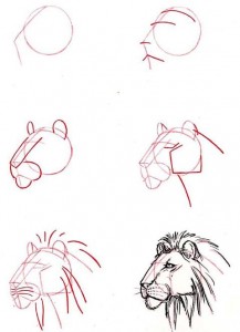 10 nuevos dibujos a lápiz de animales (6)