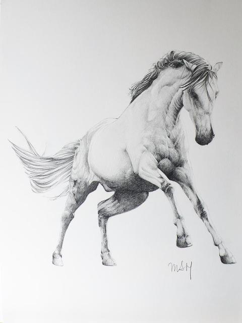 11 dibujos a lápiz de caballos | Dibujos a lapiz
