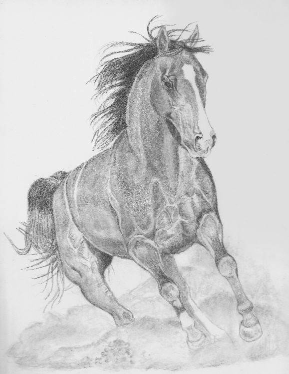 Featured image of post Dibujos De Caballos A Lapiz Tumblr Dibujos a lapiz estado de m xico