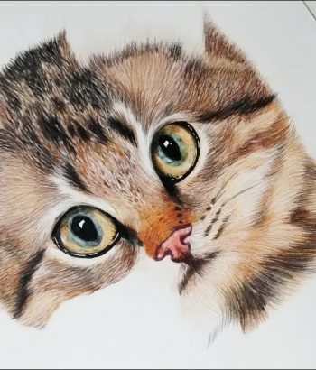 Dibujo-gato-realista