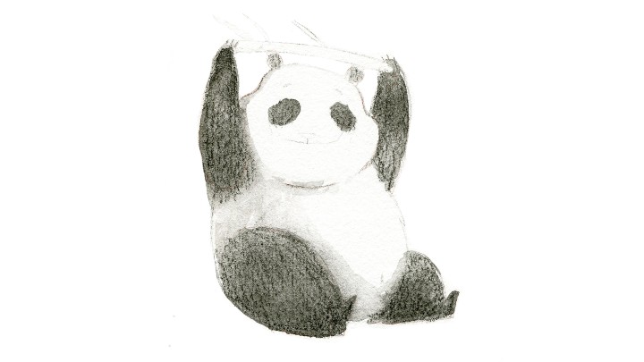 Cómo dibujar un panda paso a paso