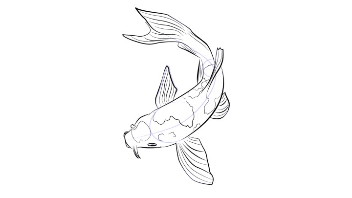 un pez koi 7 pasos | Dibujos lapiz