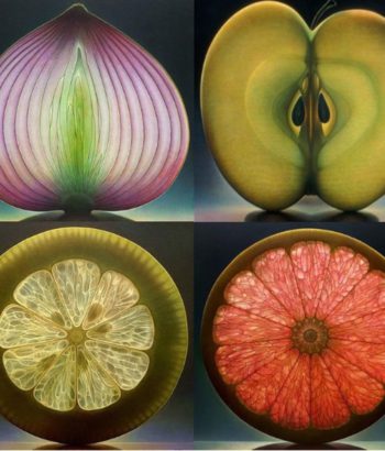 EL mundo de frutas y flores de Dennis Wojtkiewicz