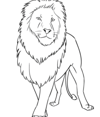 Dibujar un león paso a paso